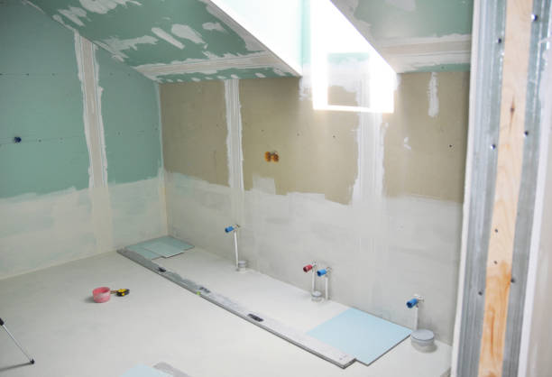 Best Post-Construction Mold Inspection  in Byron, IL