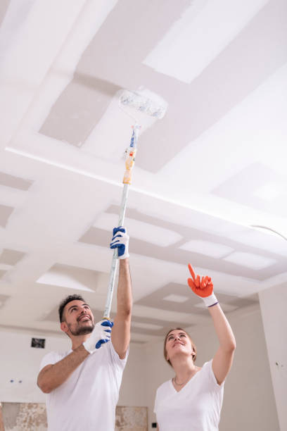 Best Asbestos and Lead Testing During Mold Inspection  in Byron, IL