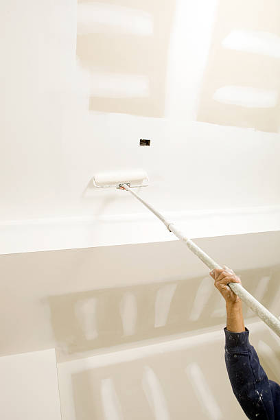 Best HVAC Mold Inspection and Cleaning  in Byron, IL