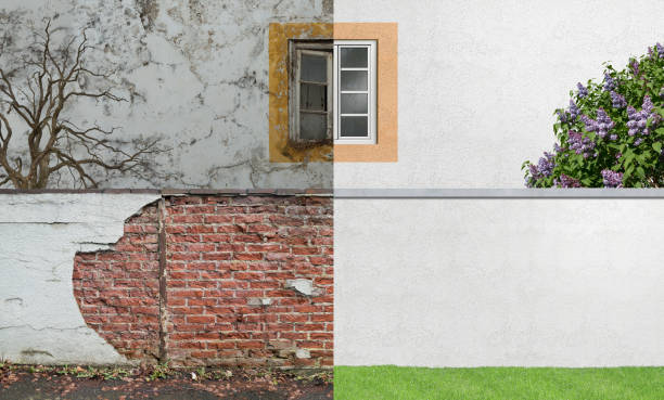 Best Mold Odor Removal Services  in Byron, IL