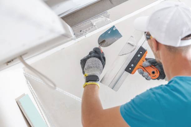 Best Water Damage & Mold Remediation  in Byron, IL